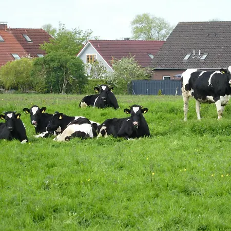 Apartmán Nordlicht *