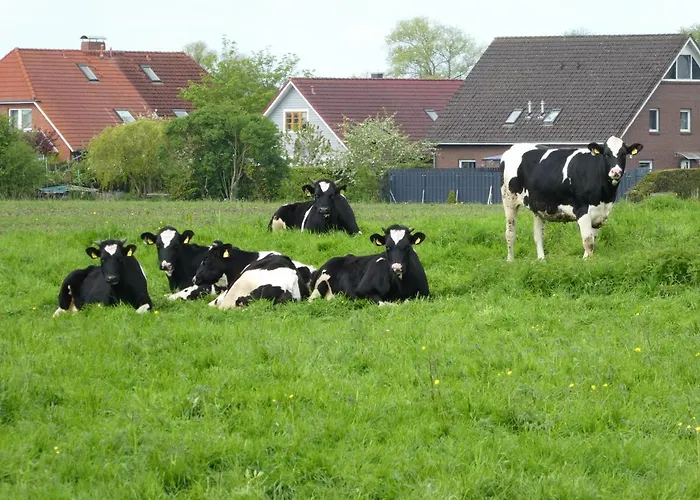 Apartman Nordlicht *