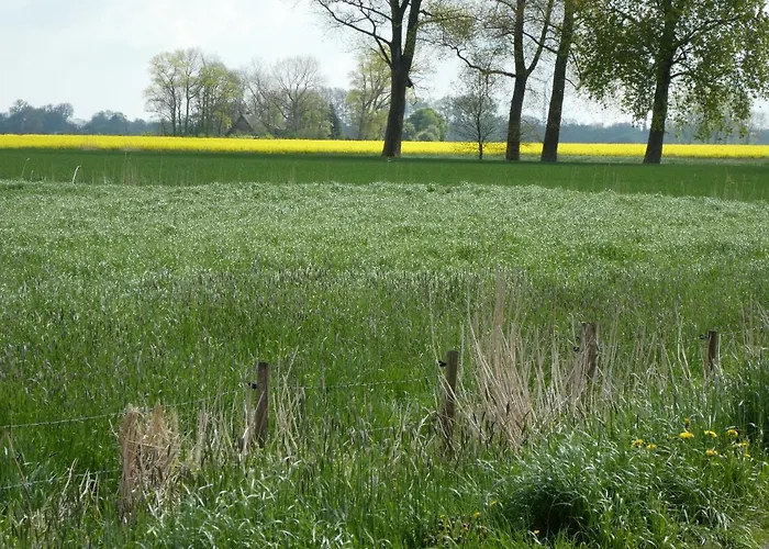 Nordlicht Διαμέρισμα